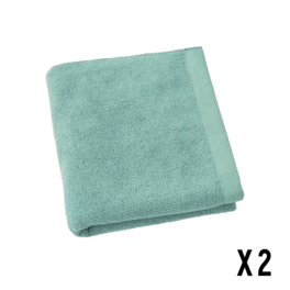 SERVIETTE MAINS EPONGE SAUGE / LOT DE 2